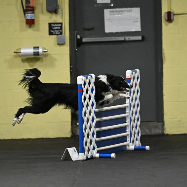 Lincoln-Hollada-09160