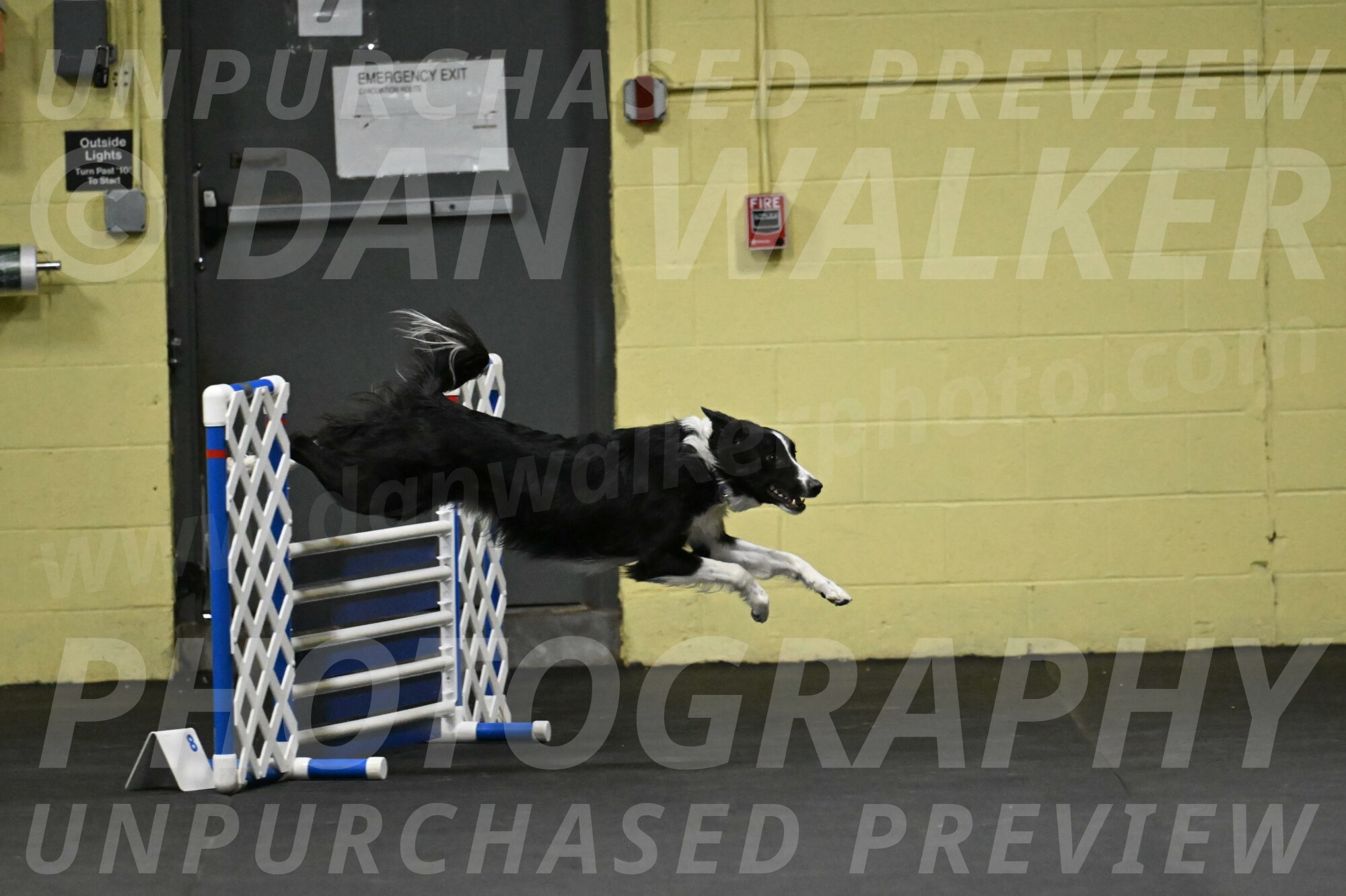 Lincoln-Hollada-09162