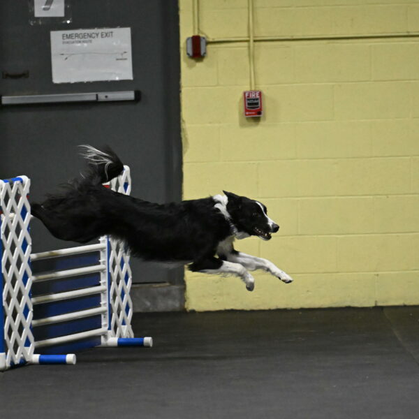 Lincoln-Hollada-09162