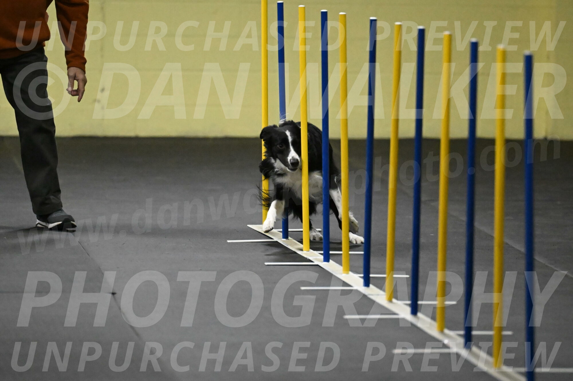 Lincoln-Hollada-09166