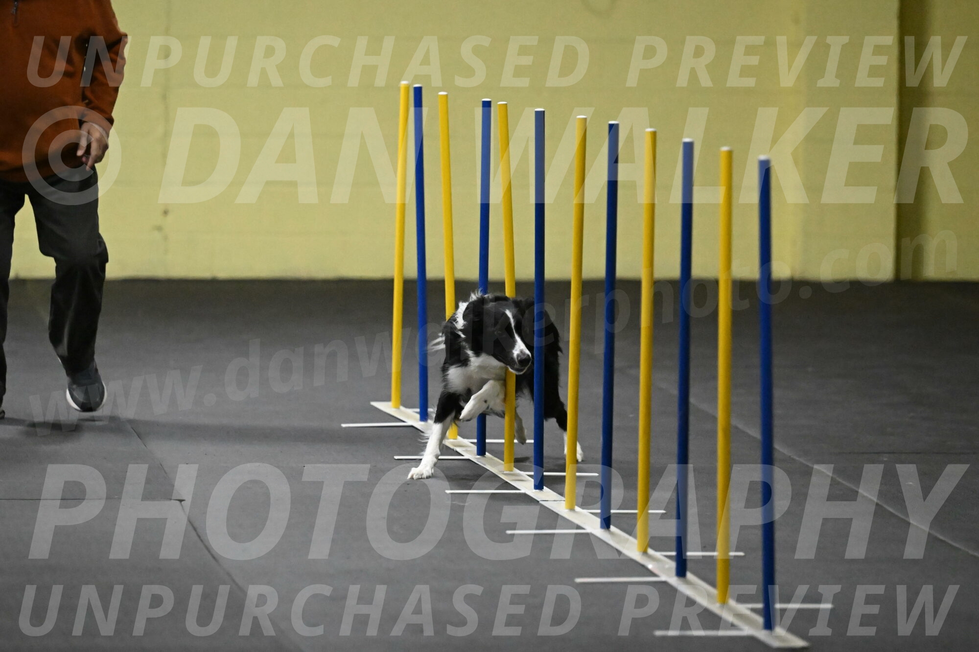 Lincoln-Hollada-09173