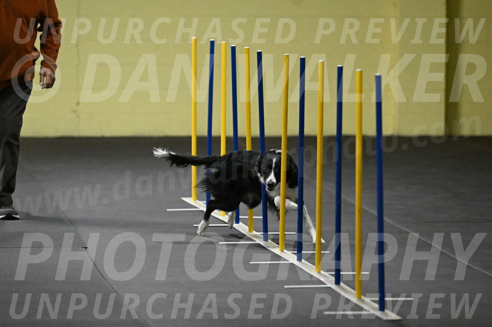 Lincoln-Hollada-09177