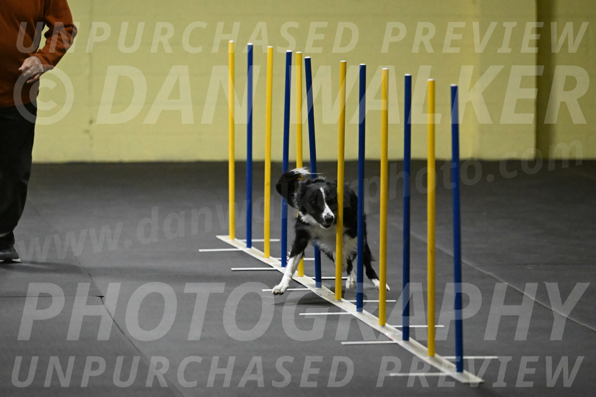 Lincoln-Hollada-09179