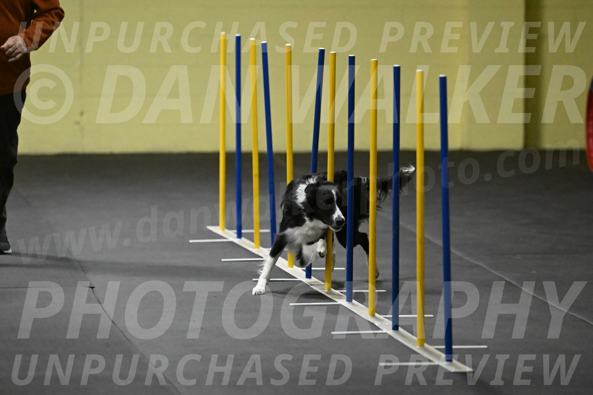 Lincoln-Hollada-09180