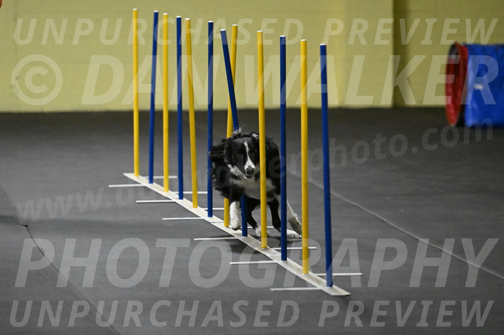 Lincoln-Hollada-09184