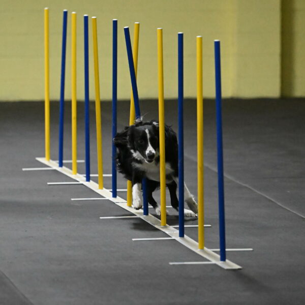 Lincoln-Hollada-09184