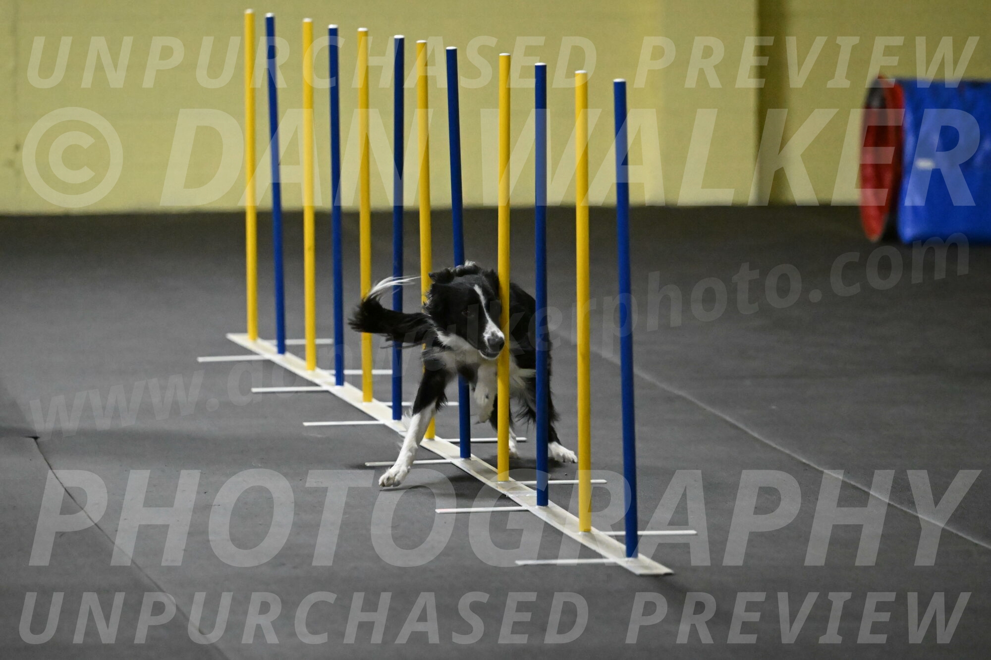 Lincoln-Hollada-09185