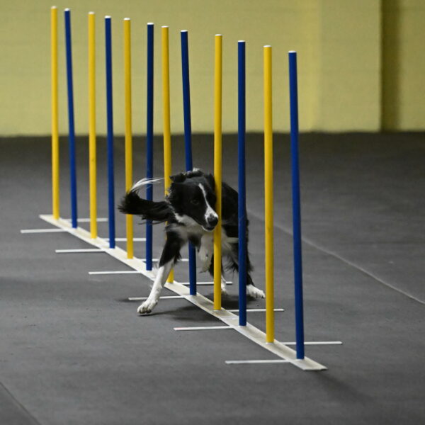 Lincoln-Hollada-09185