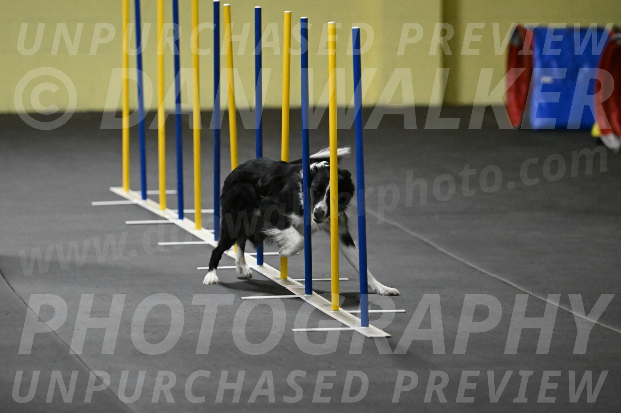 Lincoln-Hollada-09188