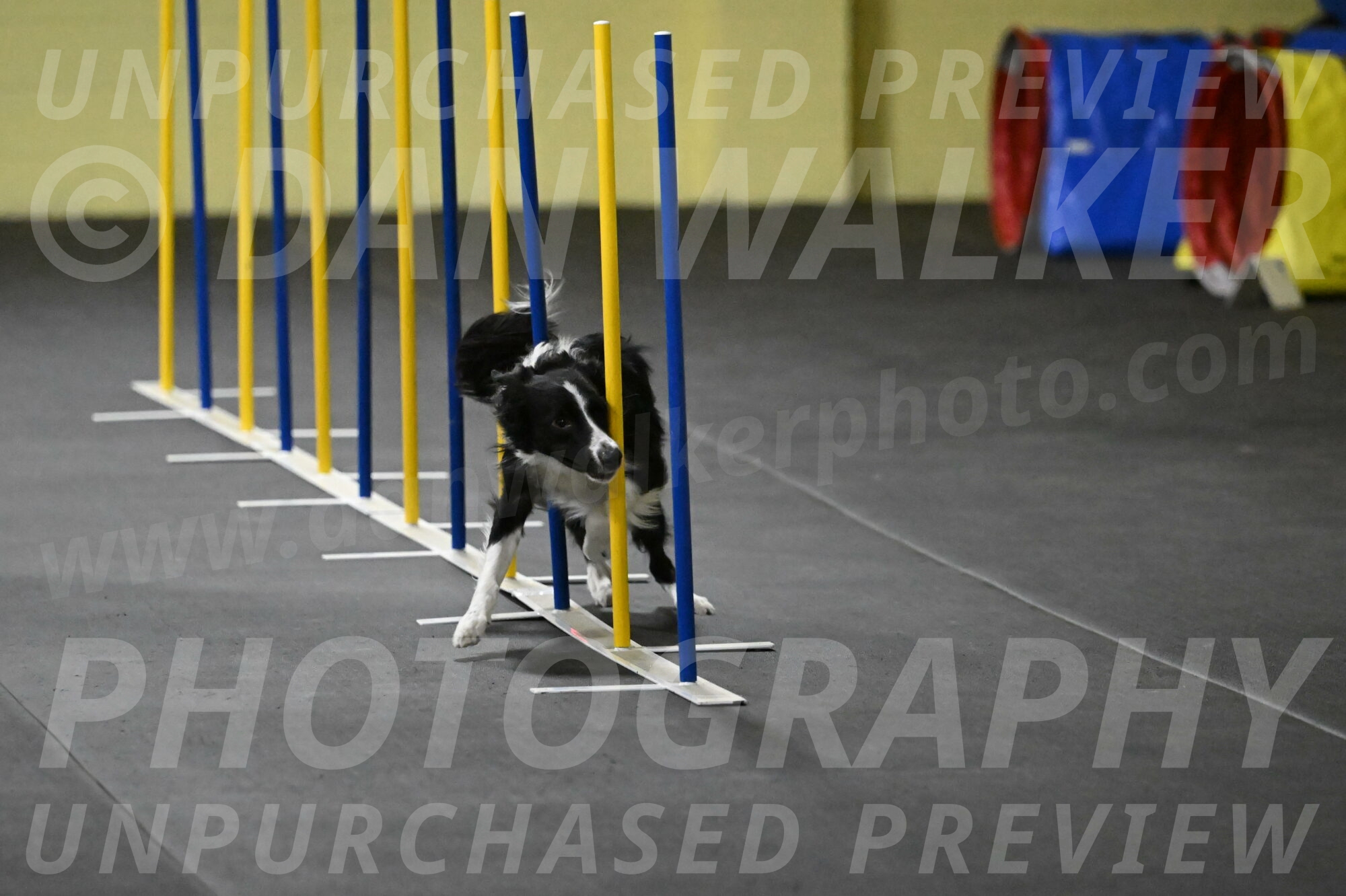 Lincoln-Hollada-09191