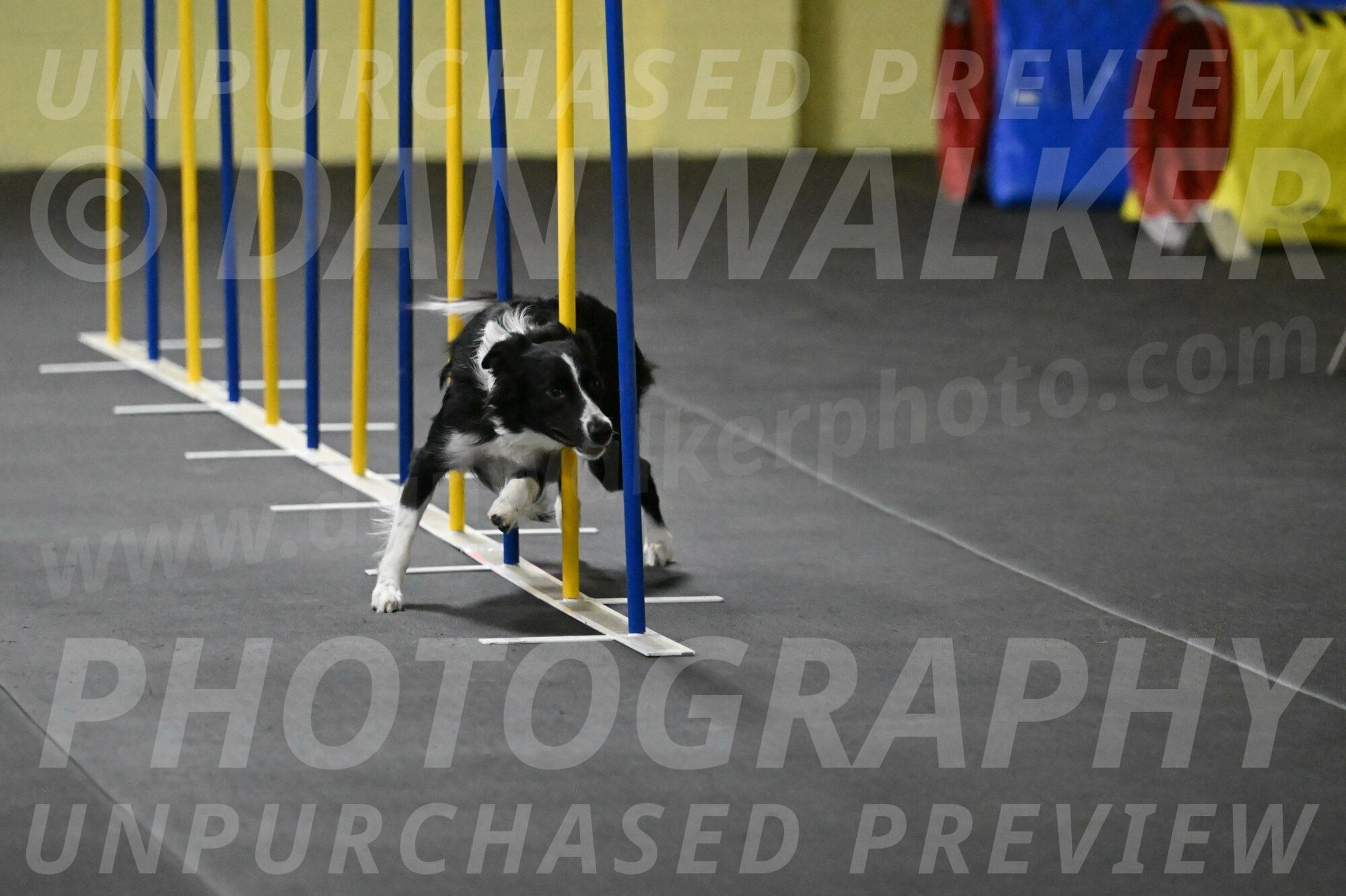 Lincoln-Hollada-09192