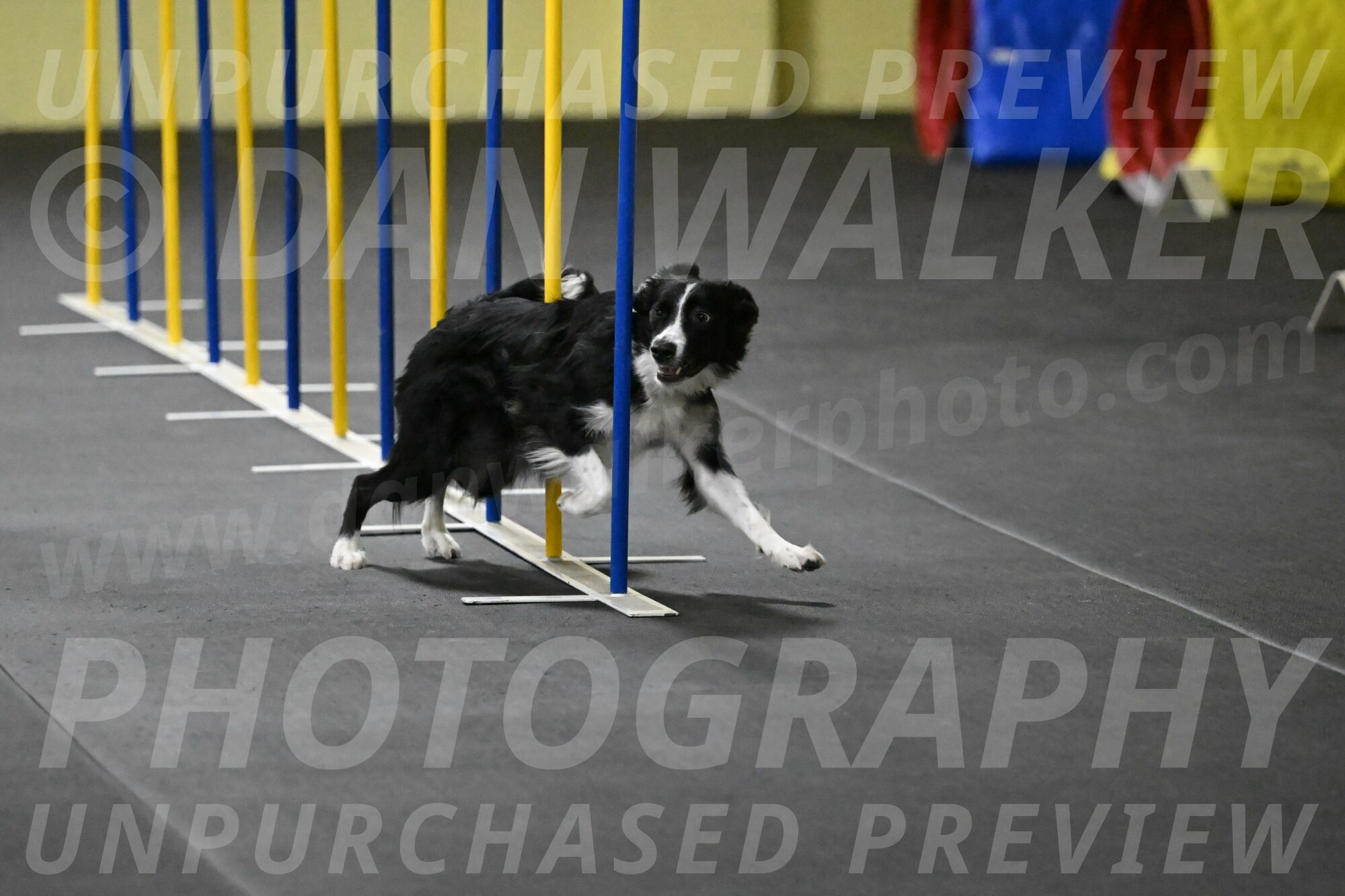 Lincoln-Hollada-09195