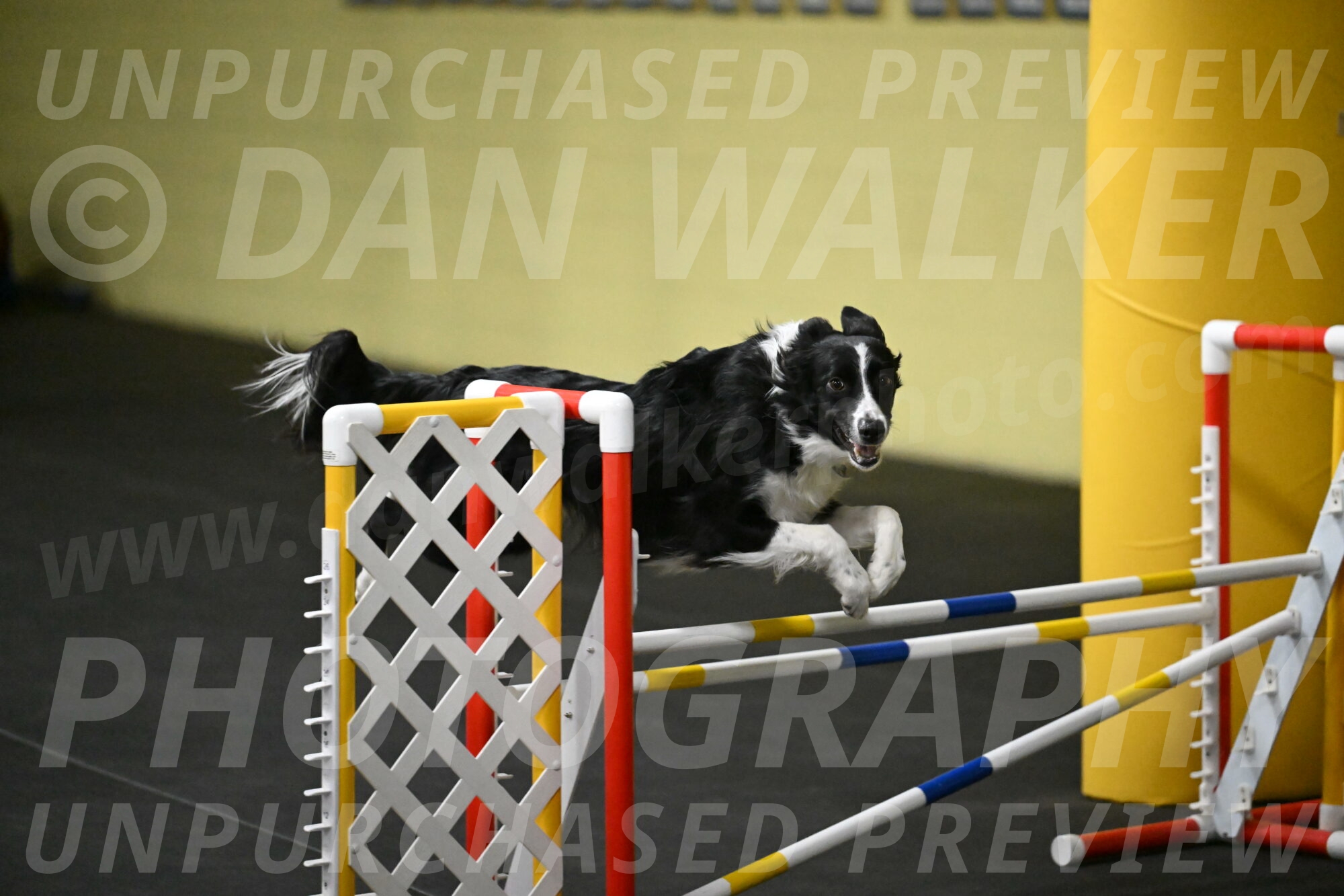 Lincoln-Hollada-09200