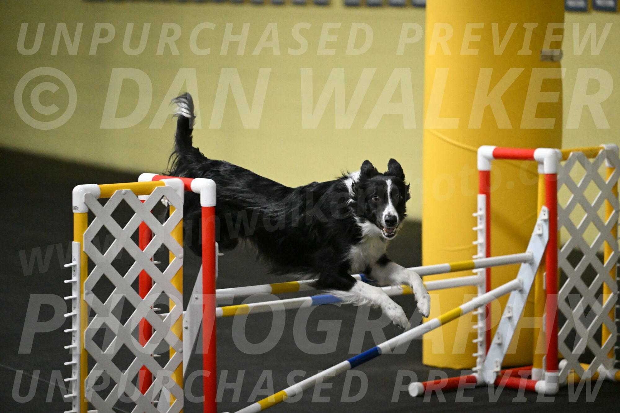 Lincoln-Hollada-09201