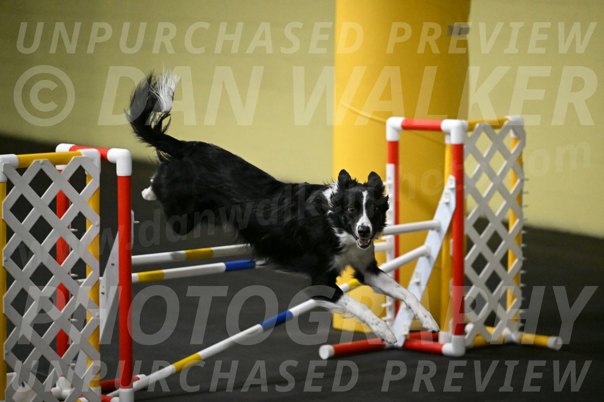 Lincoln-Hollada-09202