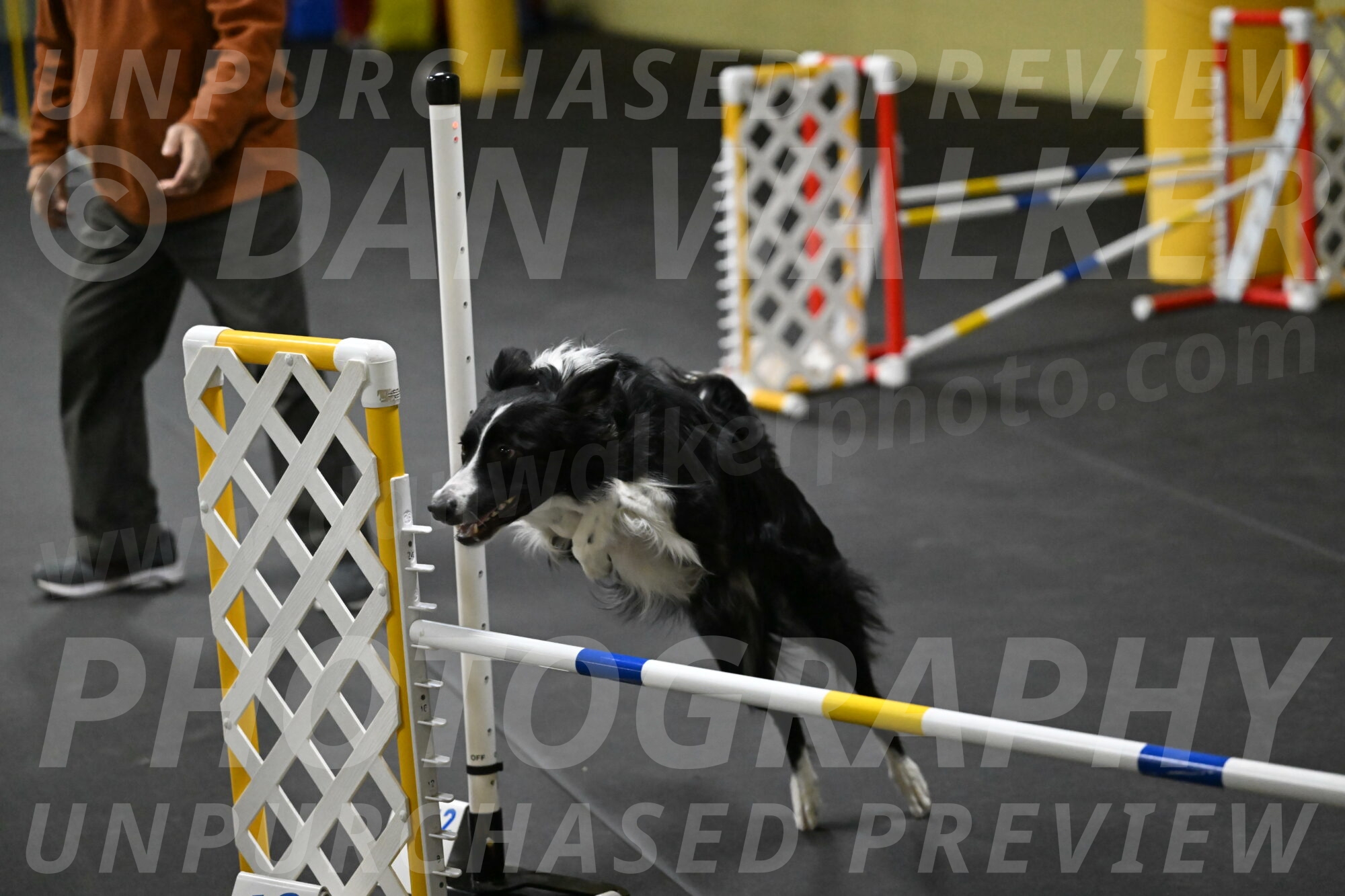 Lincoln-Hollada-09217