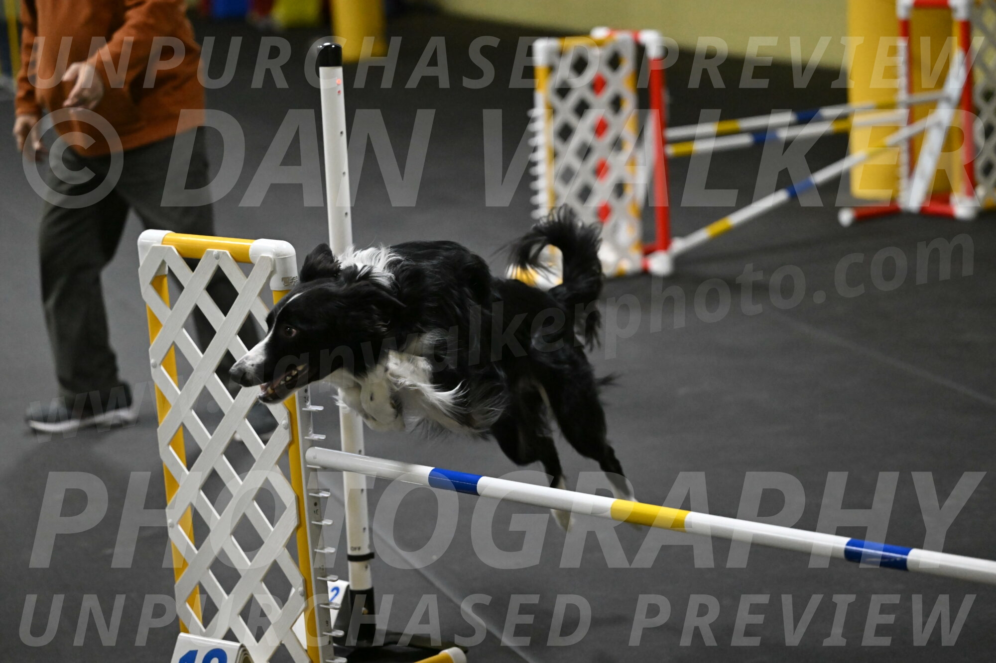 Lincoln-Hollada-09218