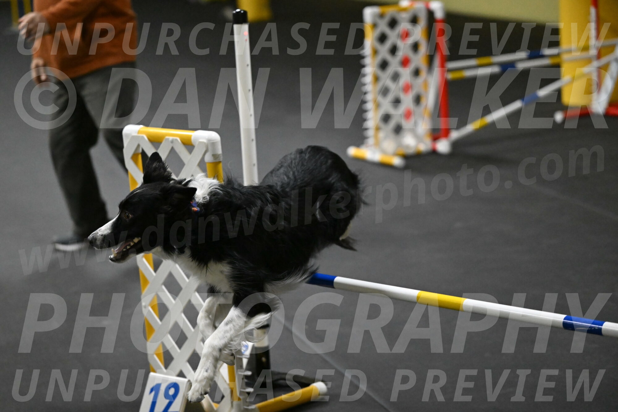 Lincoln-Hollada-09220