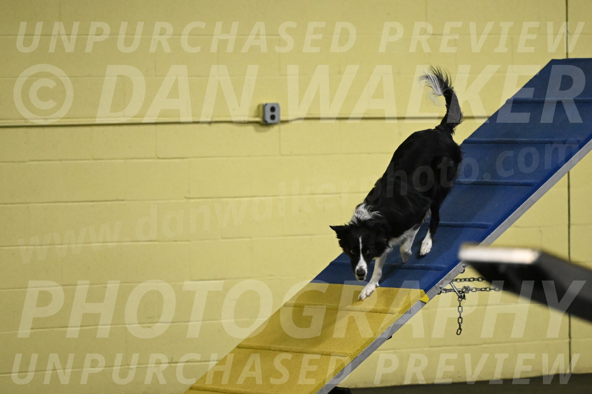 Lincoln-Hollada-09228