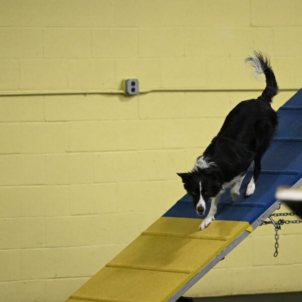 Lincoln-Hollada-09228