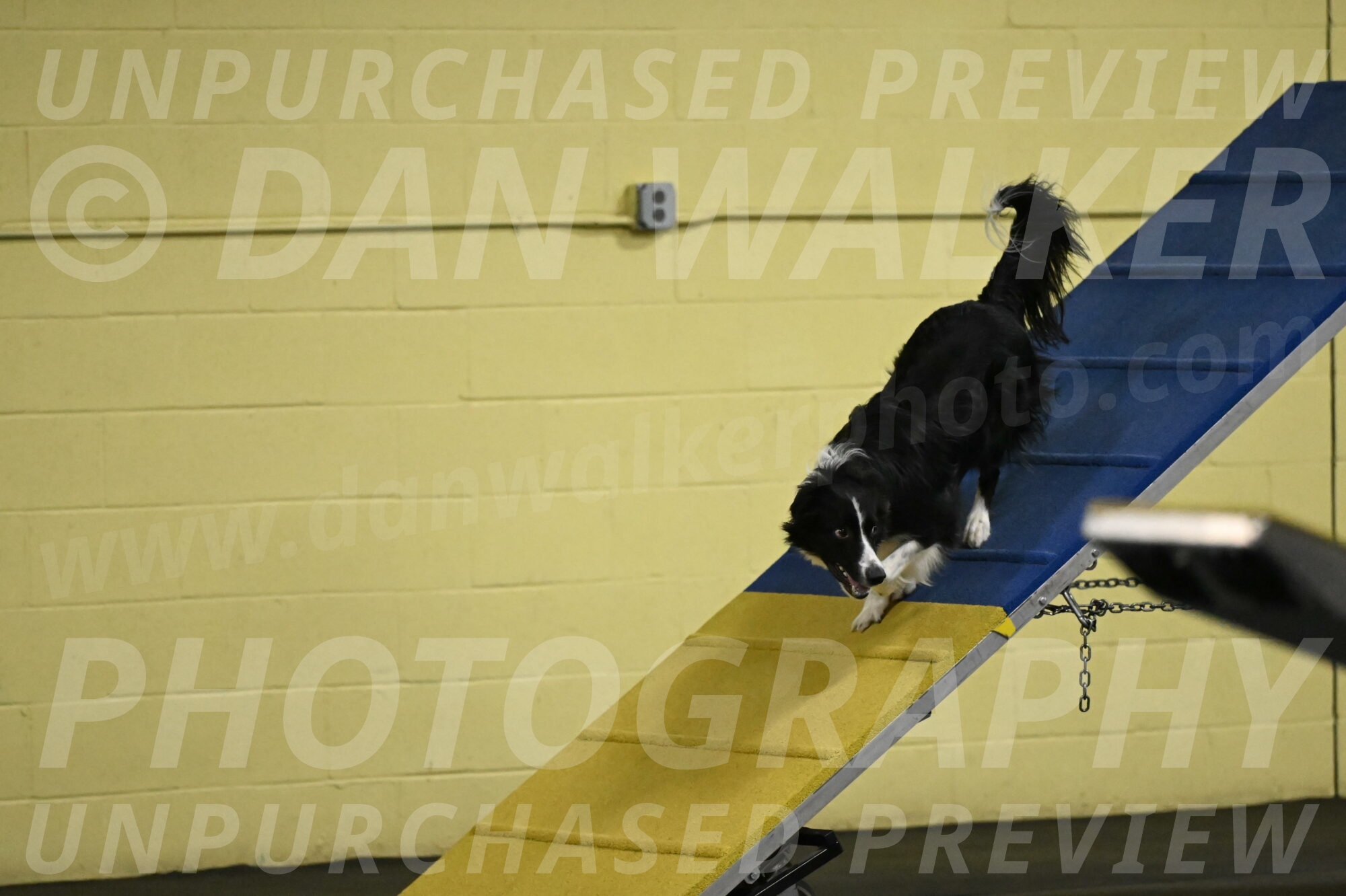 Lincoln-Hollada-09229