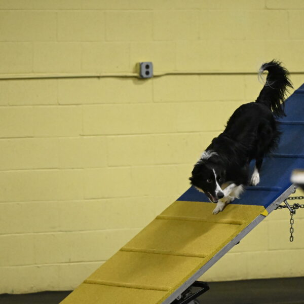 Lincoln-Hollada-09229