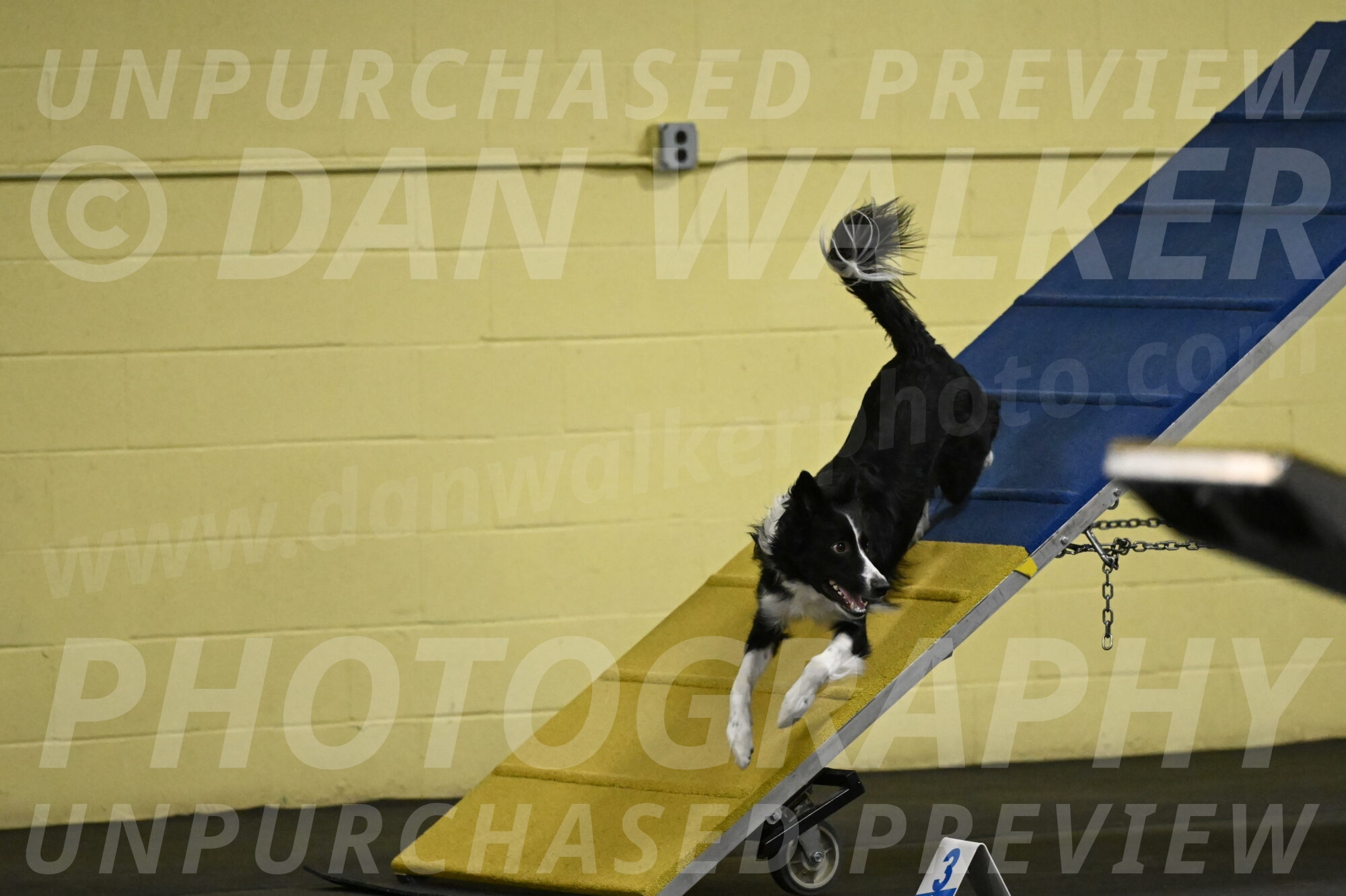 Lincoln-Hollada-09230