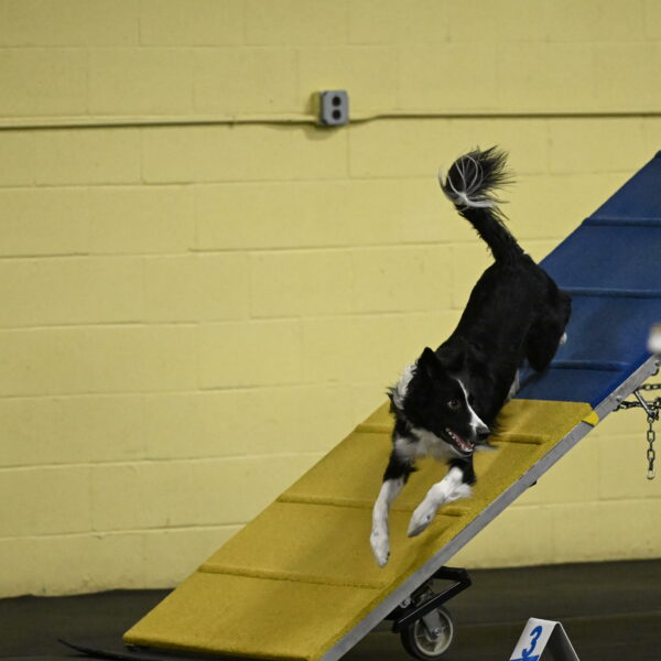 Lincoln-Hollada-09230