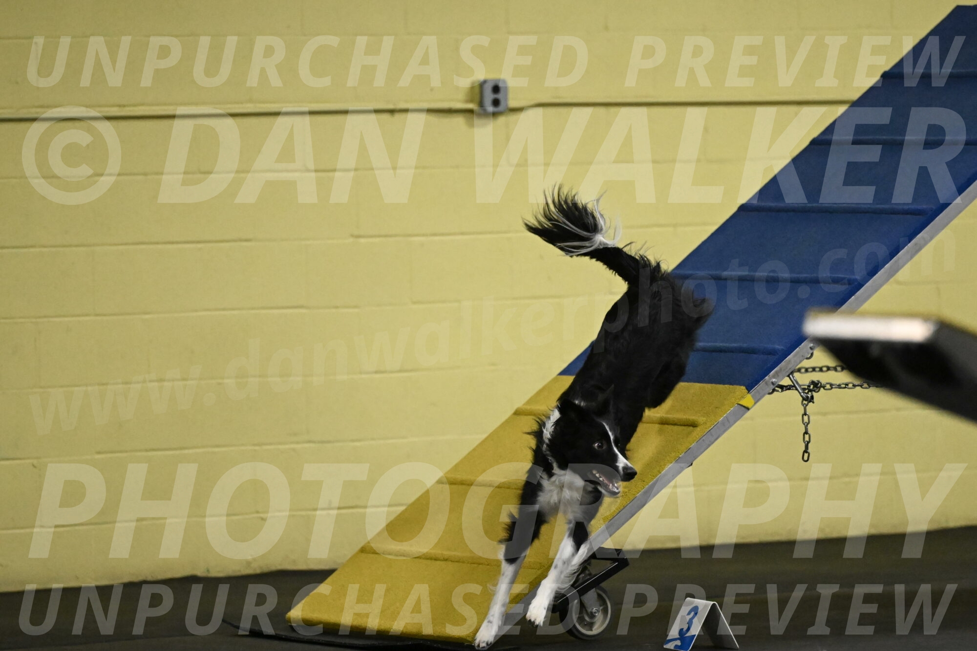 Lincoln-Hollada-09231