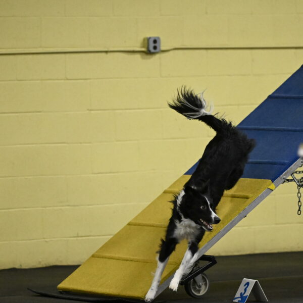 Lincoln-Hollada-09231