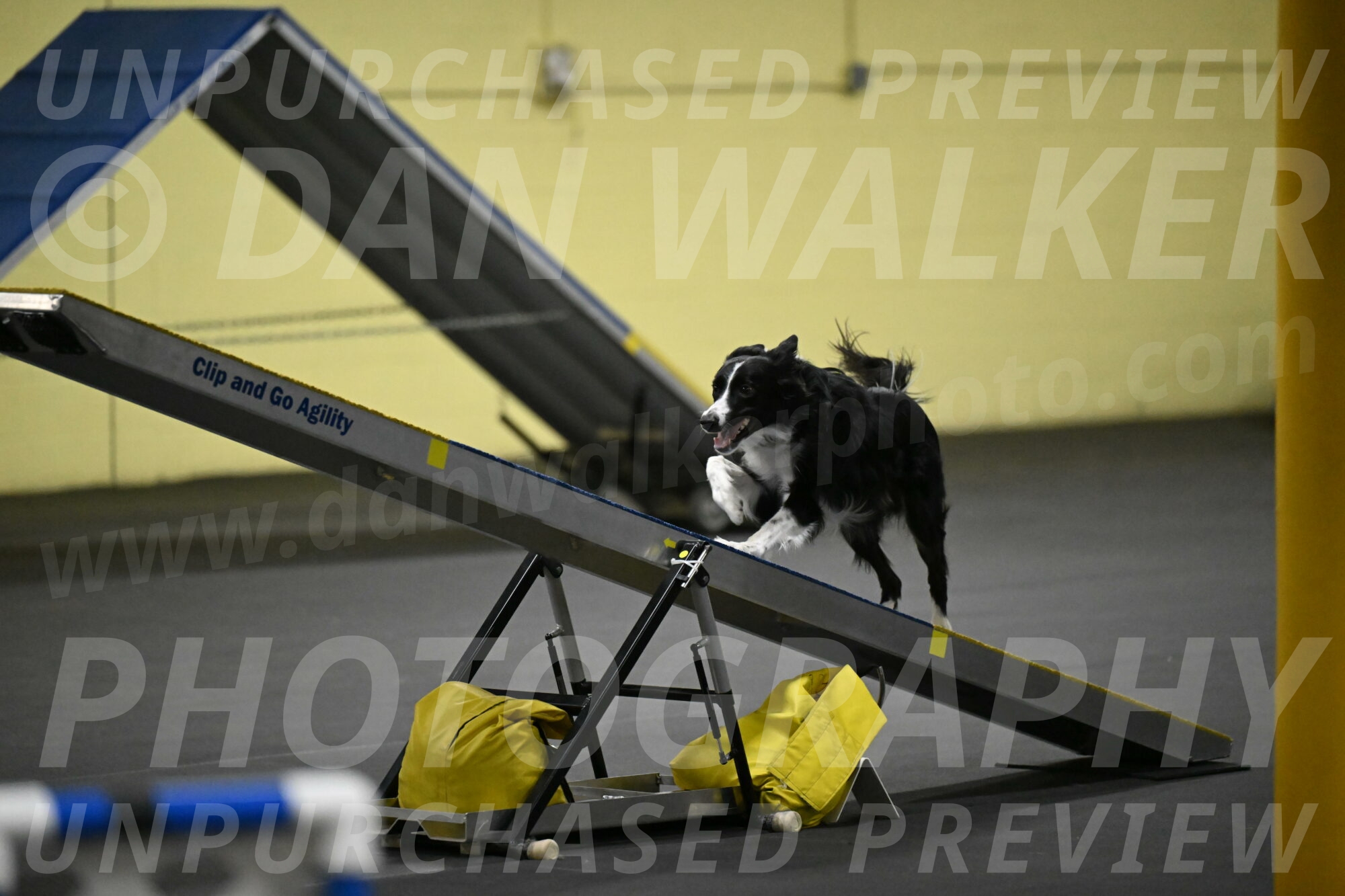 Lincoln-Hollada-09241