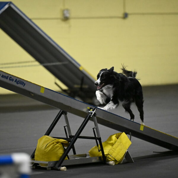 Lincoln-Hollada-09241