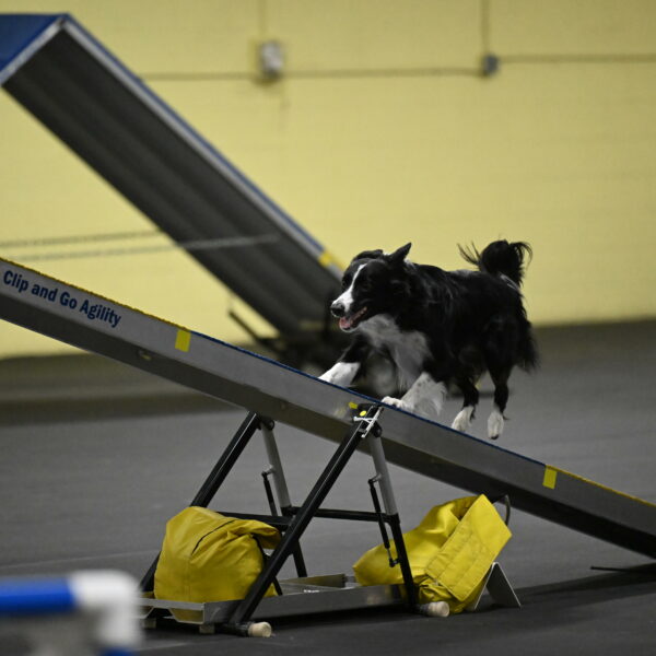 Lincoln-Hollada-09242