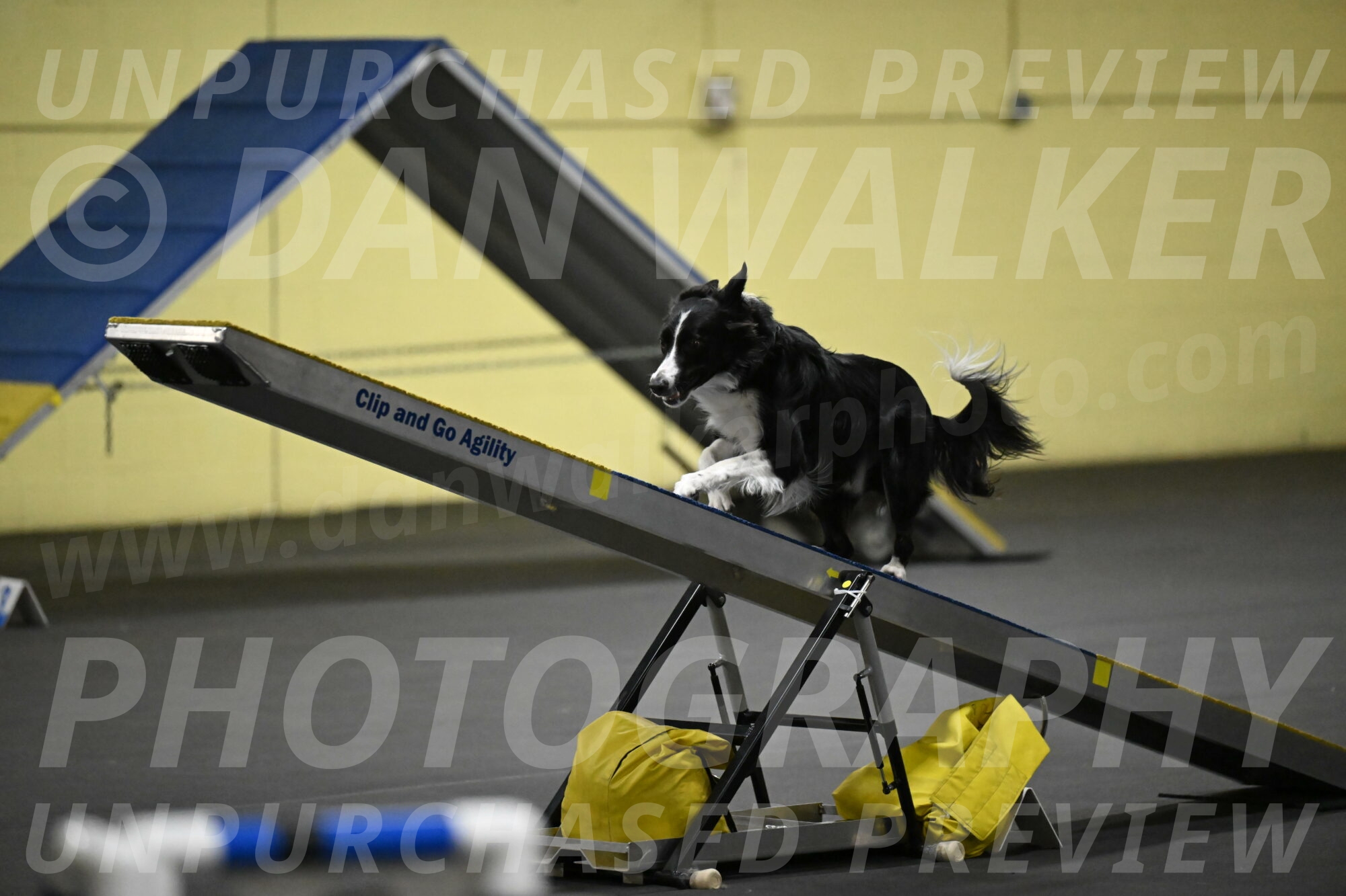 Lincoln-Hollada-09243