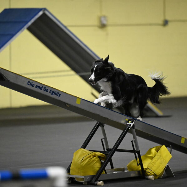 Lincoln-Hollada-09243