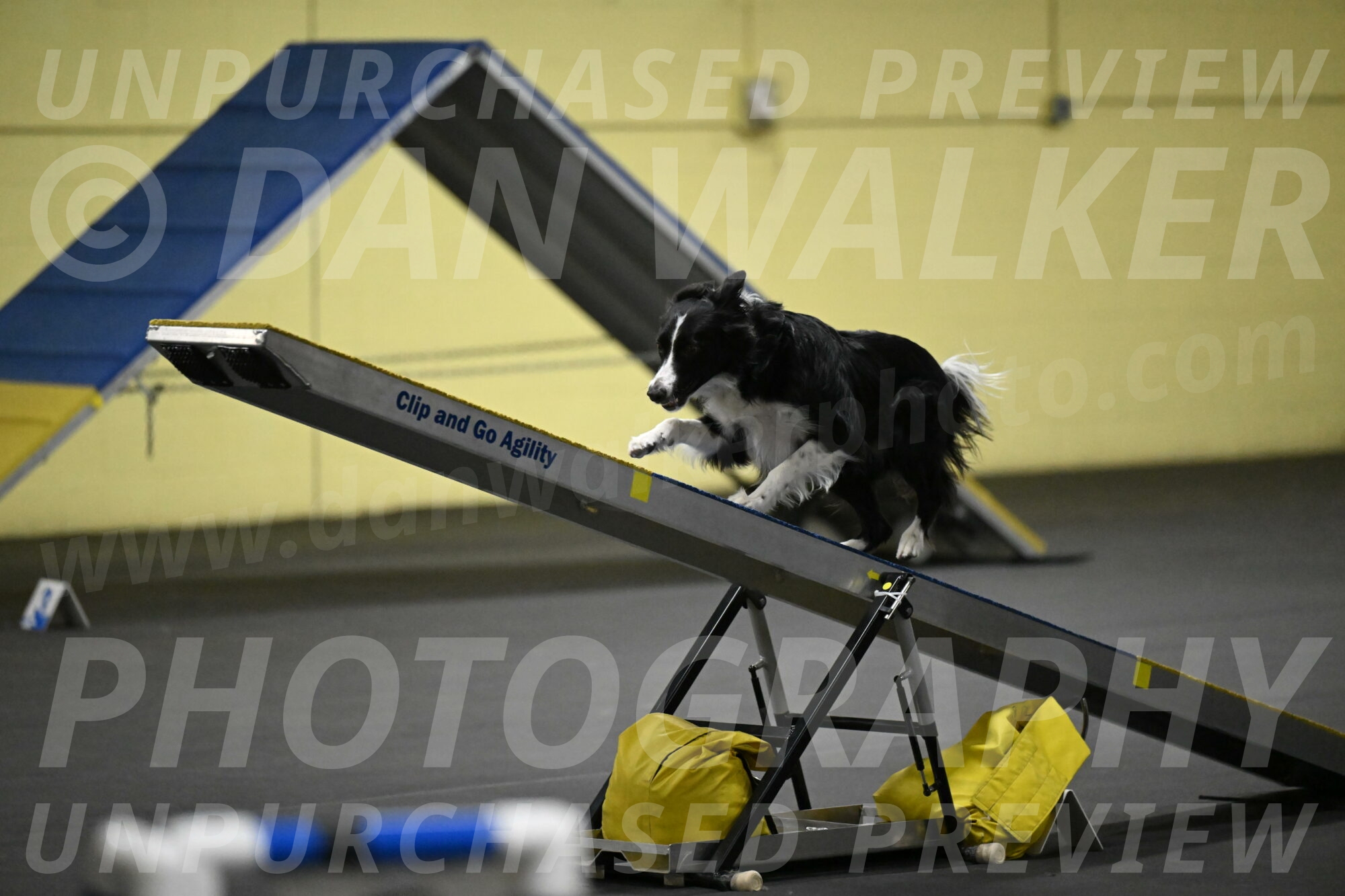 Lincoln-Hollada-09244