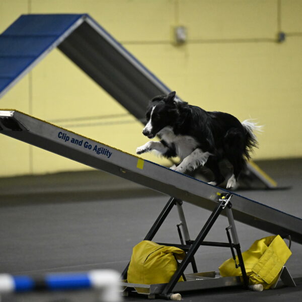 Lincoln-Hollada-09244