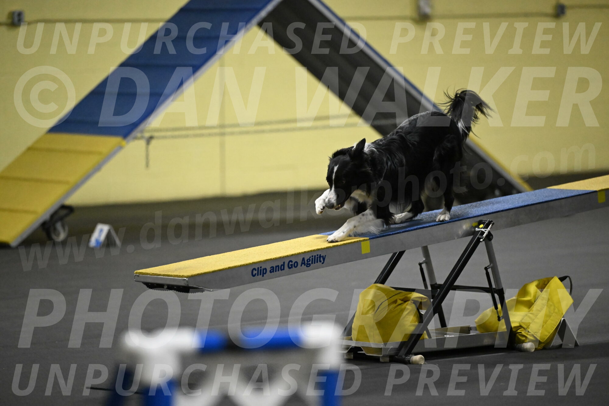 Lincoln-Hollada-09248