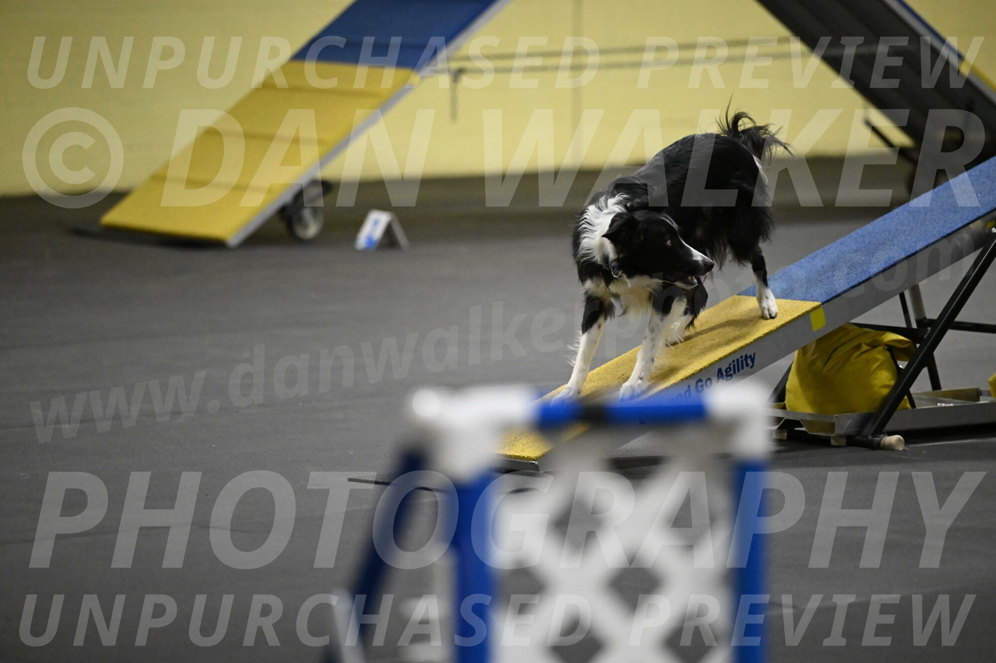 Lincoln-Hollada-09250