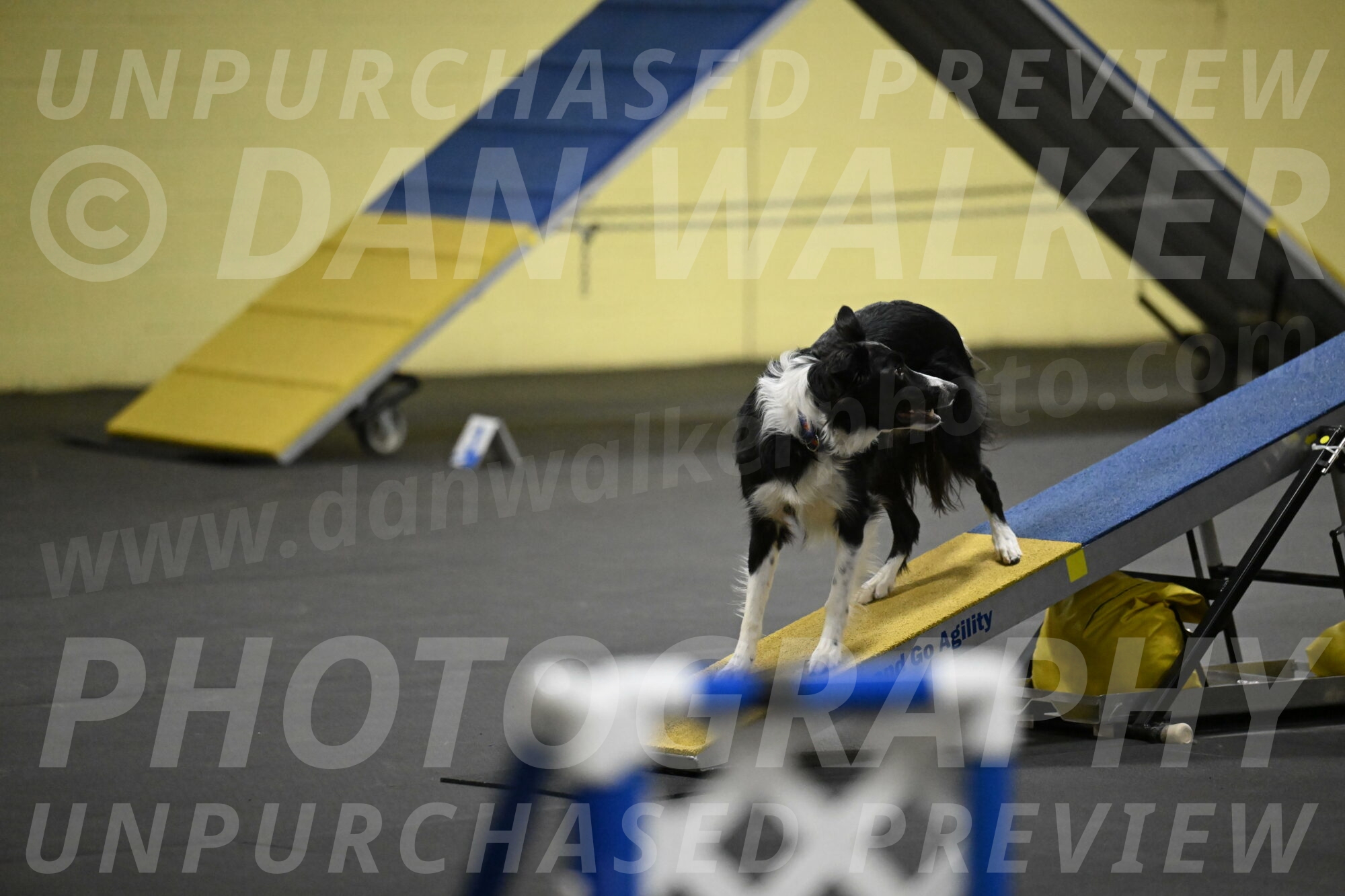 Lincoln-Hollada-09252