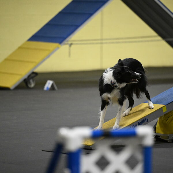 Lincoln-Hollada-09252