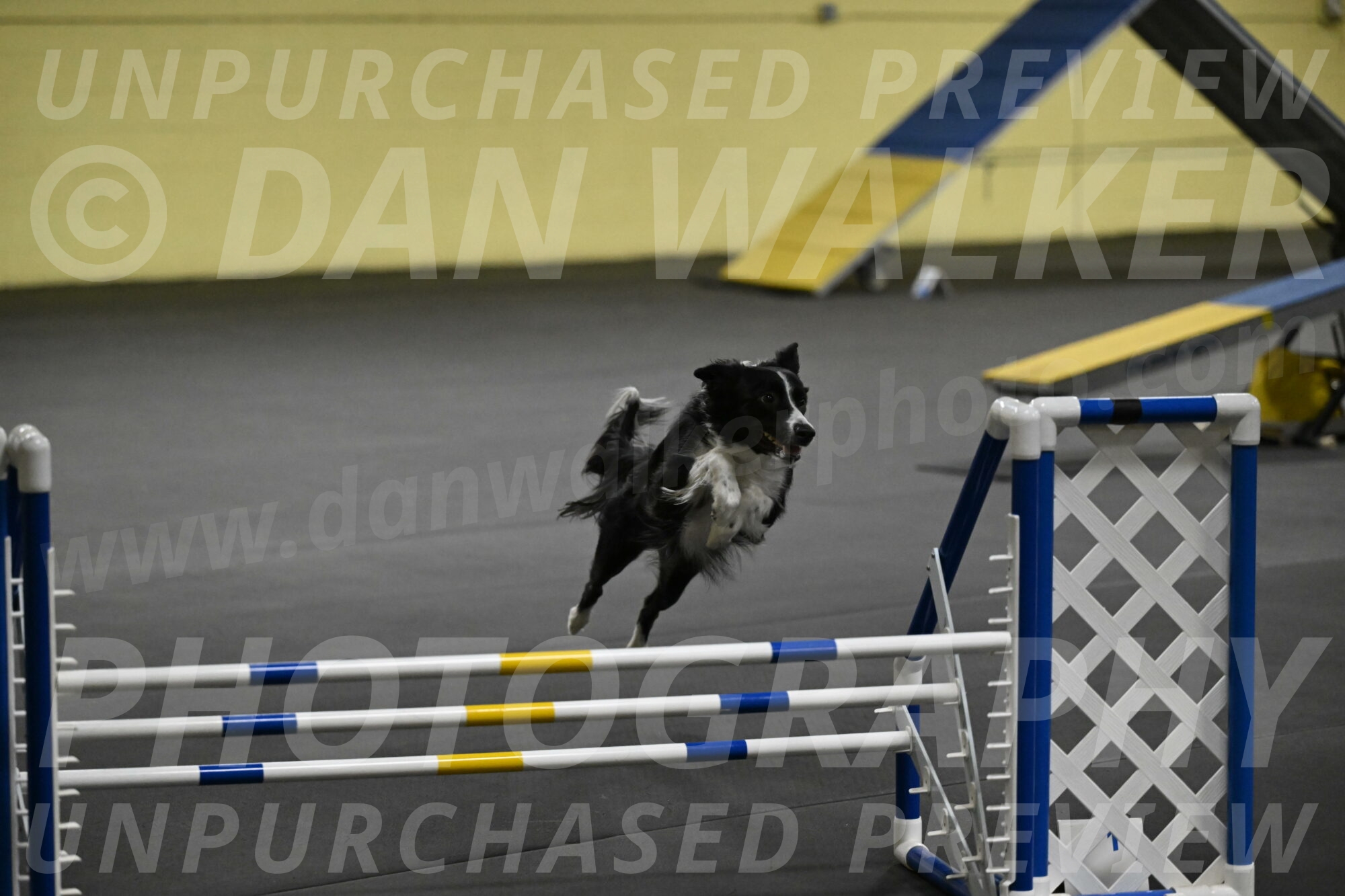 Lincoln-Hollada-09263