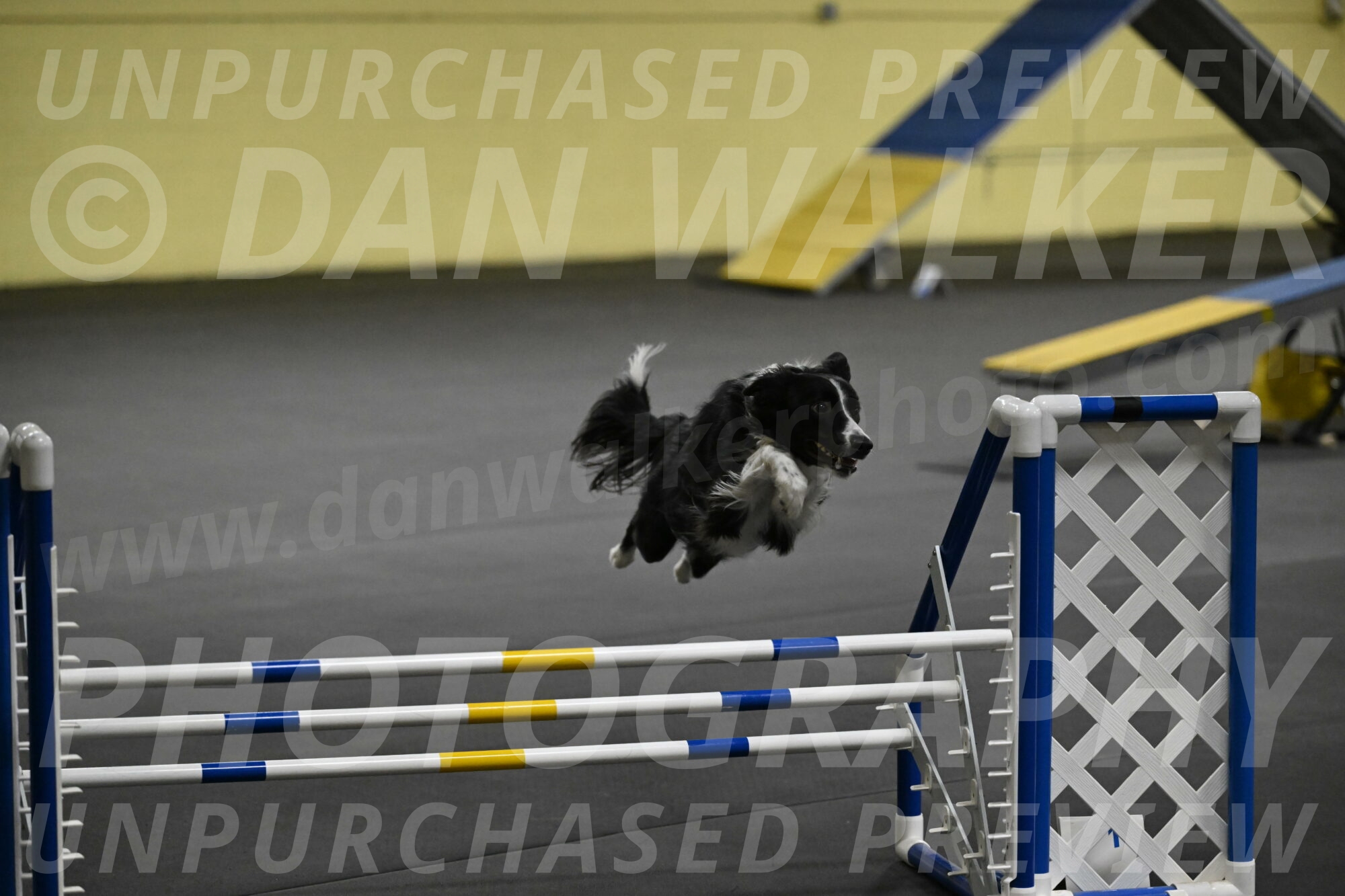 Lincoln-Hollada-09264