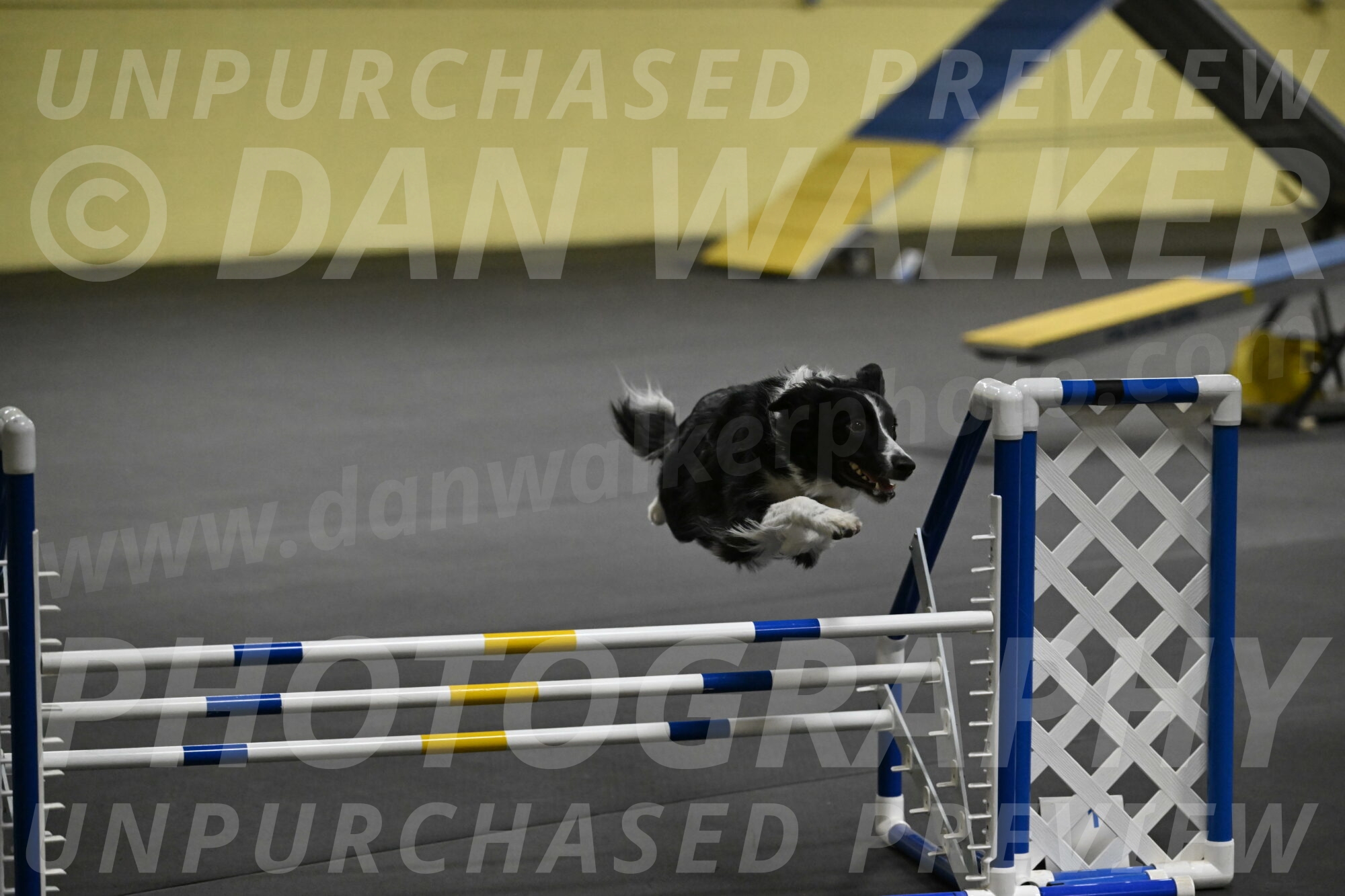 Lincoln-Hollada-09265