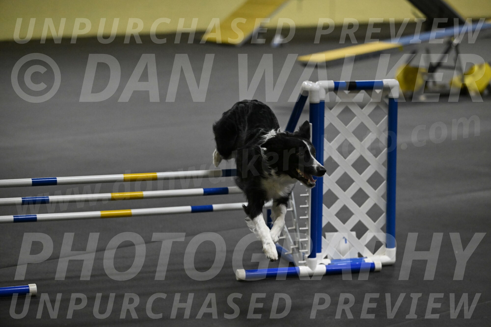 Lincoln-Hollada-09267