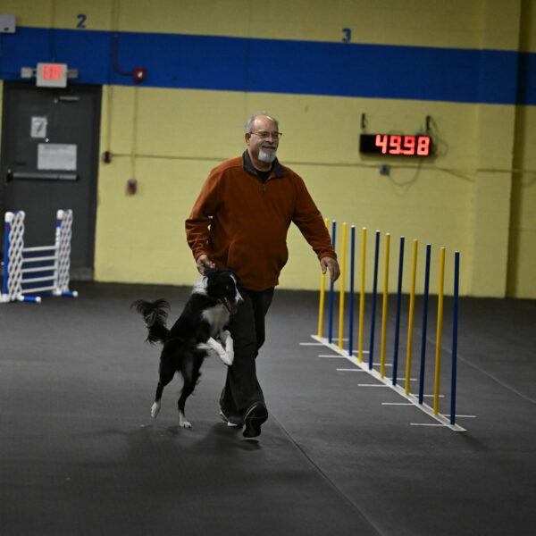 Lincoln-Hollada-09268