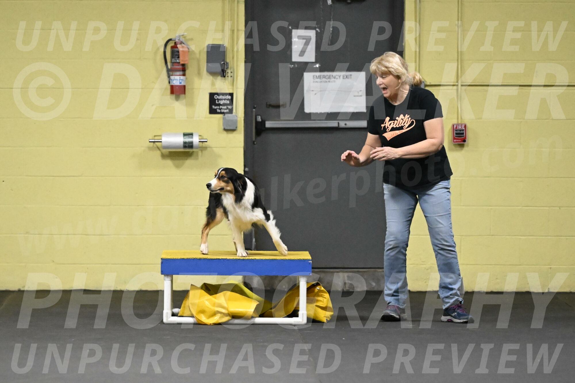 Lovey-Dovey-Shipman-09688