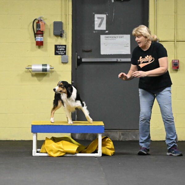 Lovey-Dovey-Shipman-09688