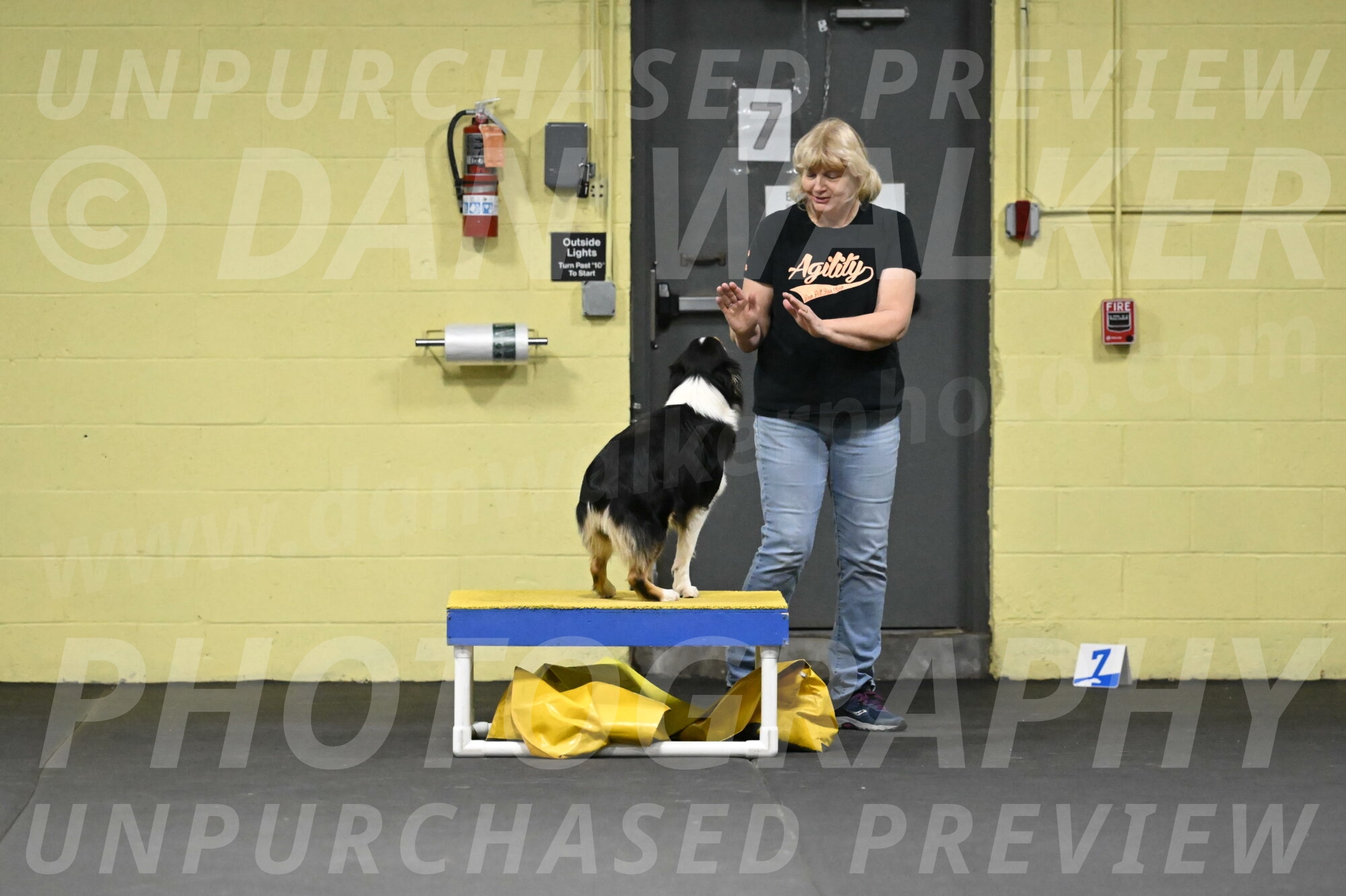 Lovey-Dovey-Shipman-09689