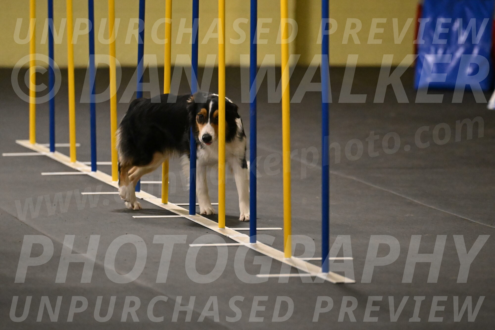 Lovey-Dovey-Shipman-09694